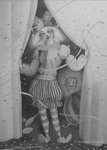 201309_doradocircus.jpg