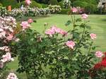20110526-03.jpg