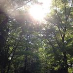 20140427-01.jpg