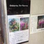 20150424_04.jpg