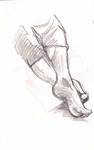 feet_cro_002_s.jpg