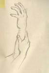 hands_cro_001.jpg